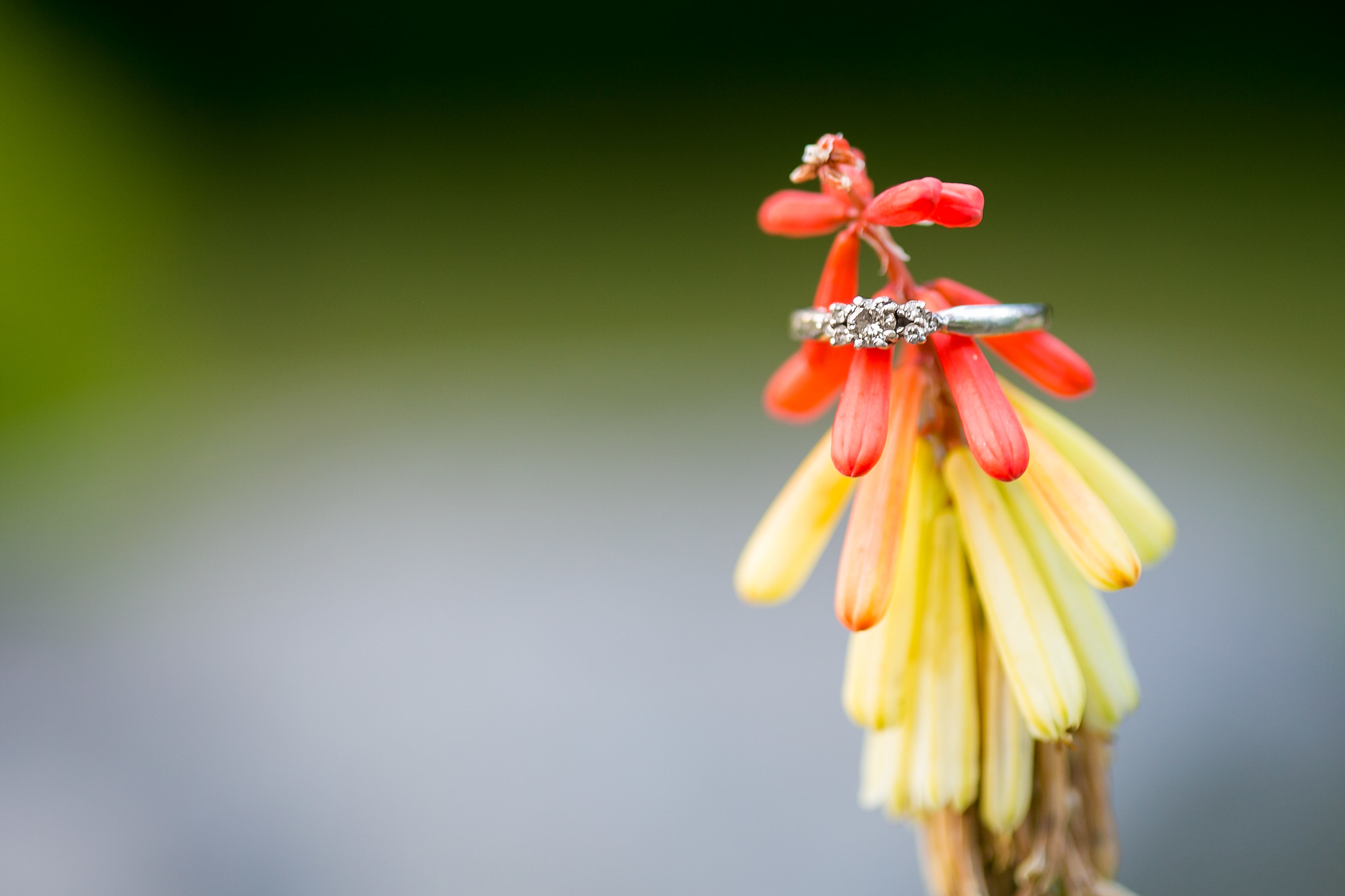 Cambridge Wedding Photographers – Kathye & Dave – Riverside Park Engagement Session