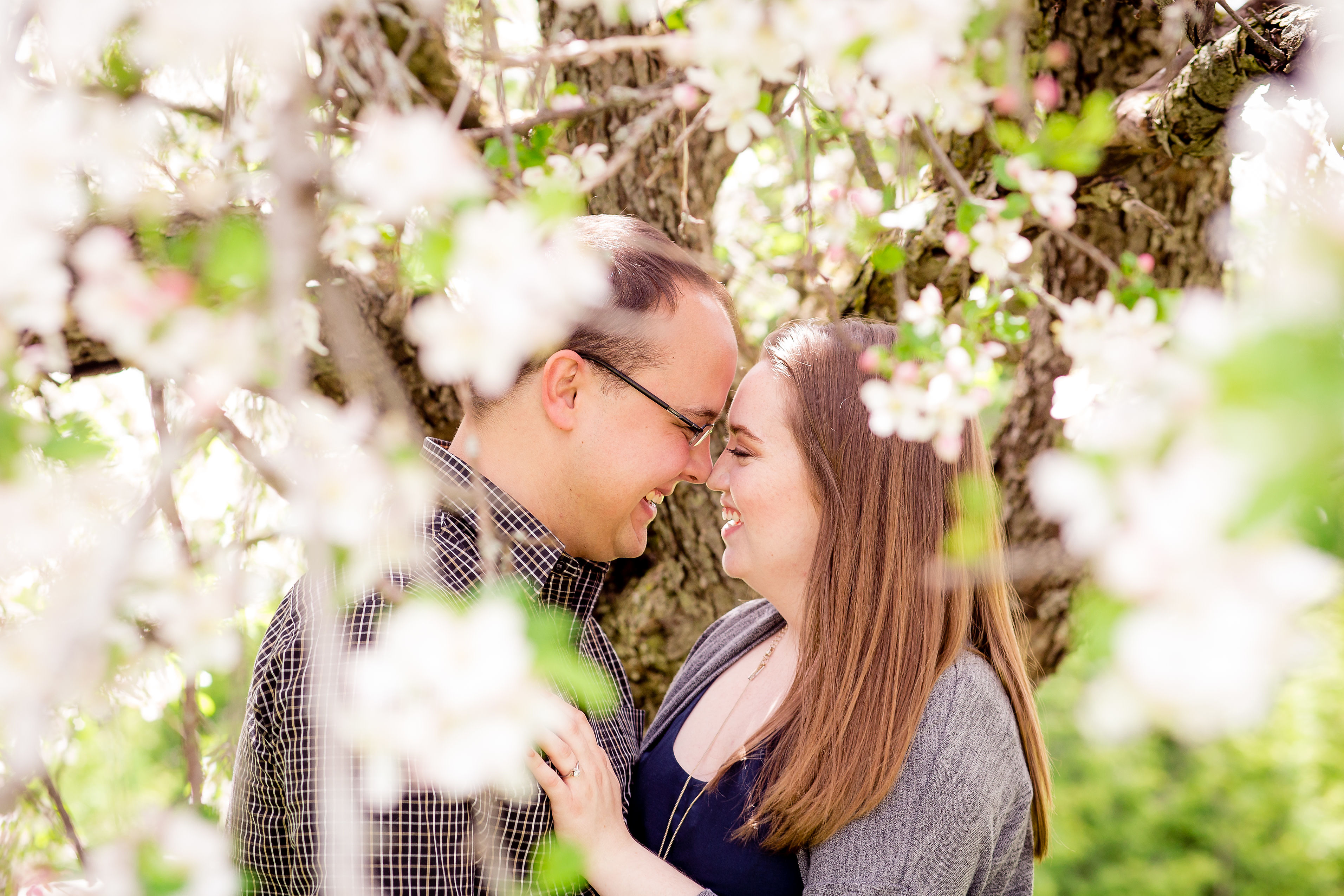 Priceville Wedding Photographers – Geraldine & Neil – Backyard Engagement