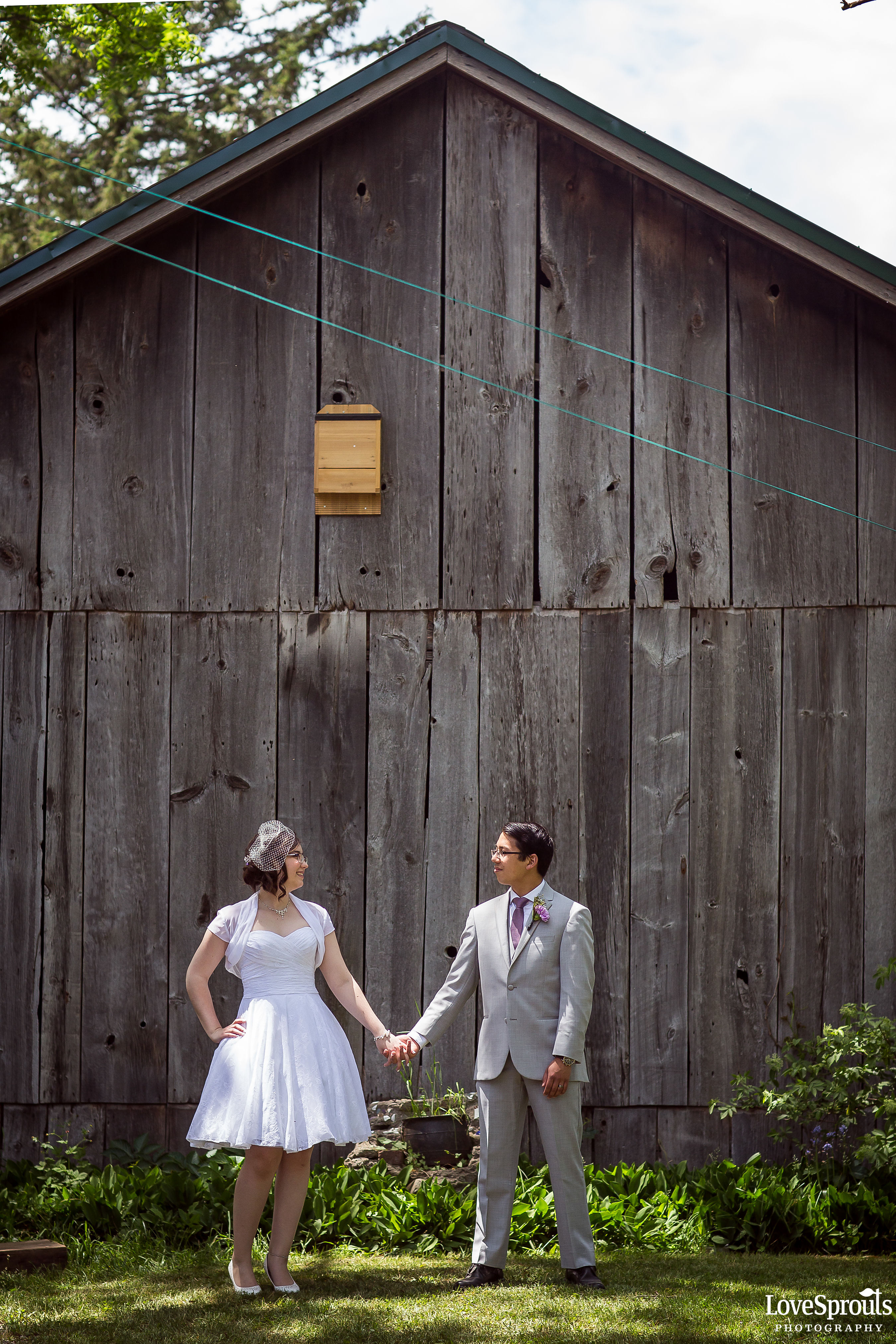 Kitchener Wedding Photographers – Emily & Cody – Steckle Heritage Farm